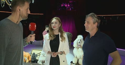 Újabb hazai siker: több magyar is segédkezett a Dumbó kalandfilmben