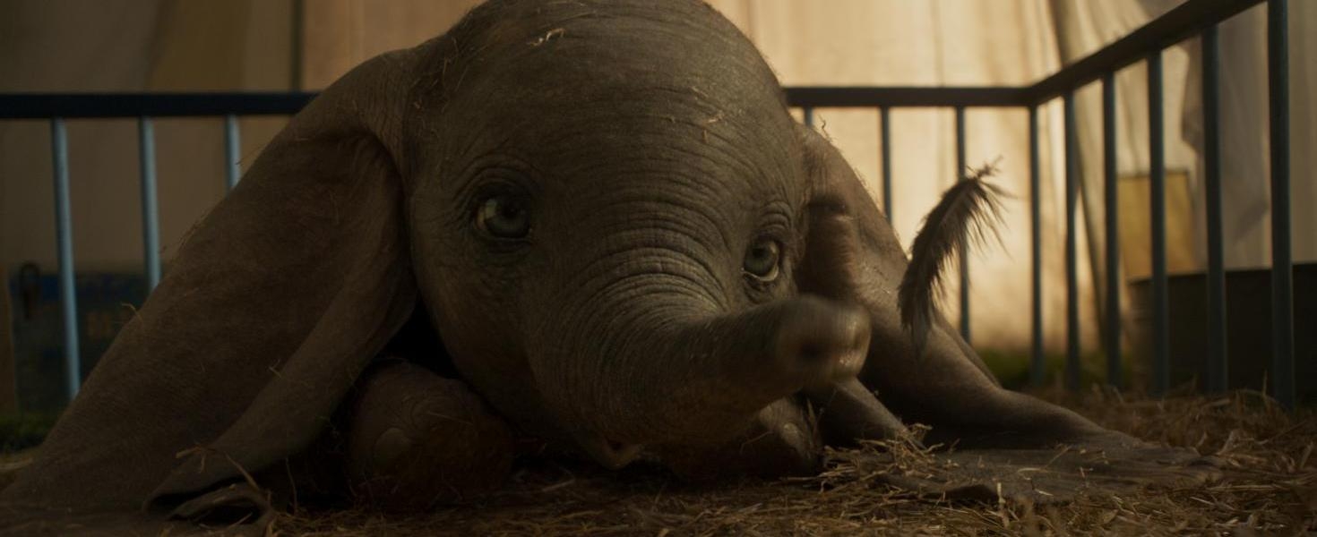 Magyar a repülő elefánt idomárja