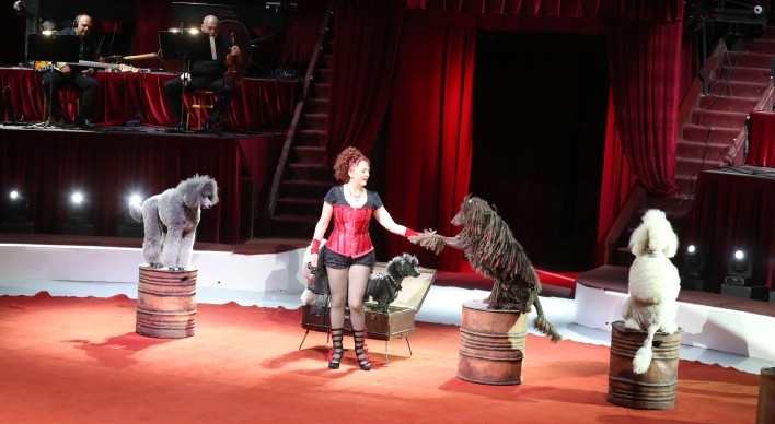 Kutya jó produkciót láthat a Fővárosi Nagycirkuszban!