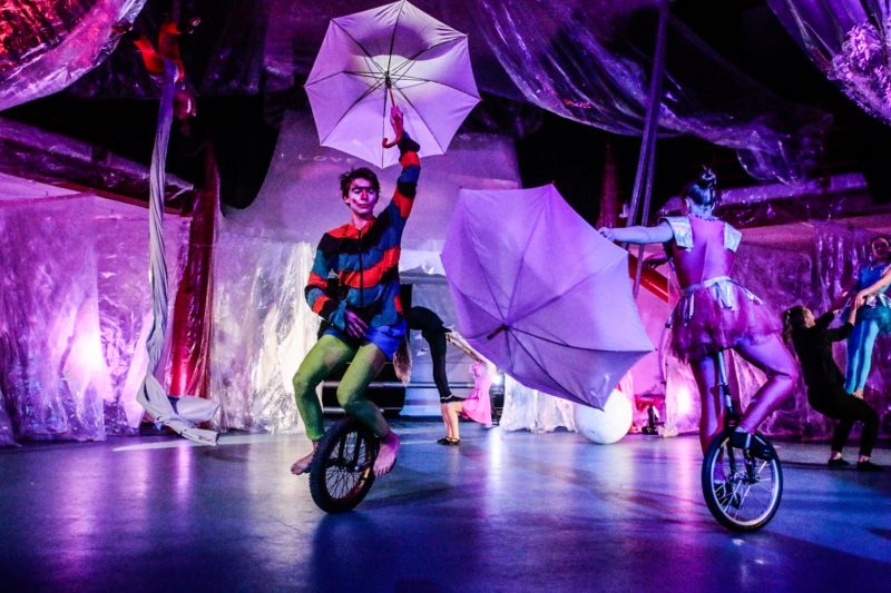 Nekik a cirkusz az igazi otthonuk