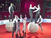 Repülőcirkusz a Fővárosi Nagycirkuszban 2019. április 20 – szeptember 8.