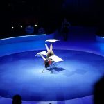 66645432_2479670402055535_9199787216086237184_n