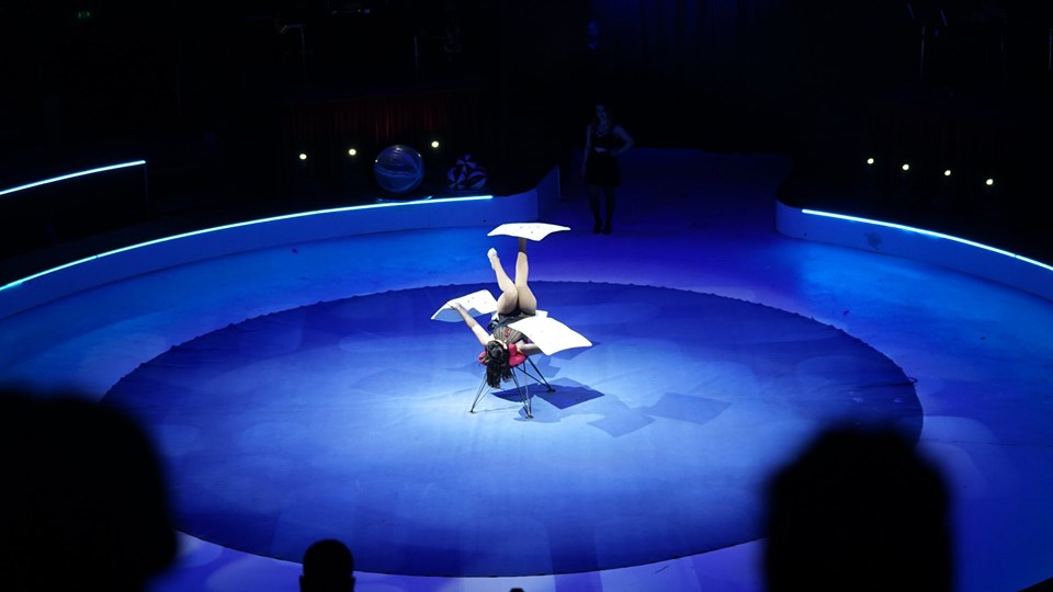 66645432_2479670402055535_9199787216086237184_n