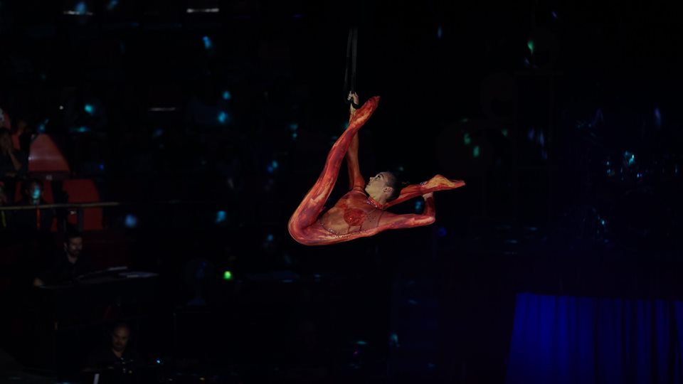 66704348_2479670562055519_4083400161936539648_n