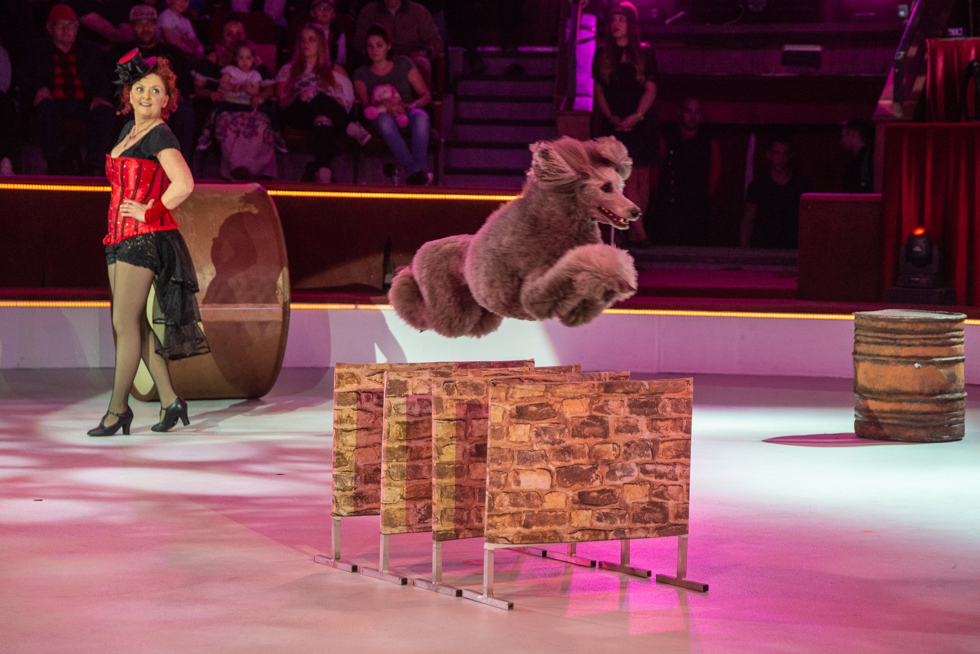 “A kutyáim részei az életemnek” – interjú Jana Posnával