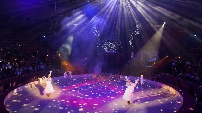 Kiderült, hol épül fel az új cirkusz Budapesten