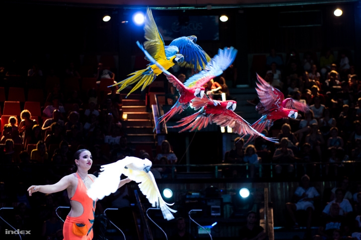 A Nyugati mellett épül fel a Nemzeti Cirkuszművészeti Központ