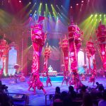 75224780_2503433743043534_7833891623439171584_n