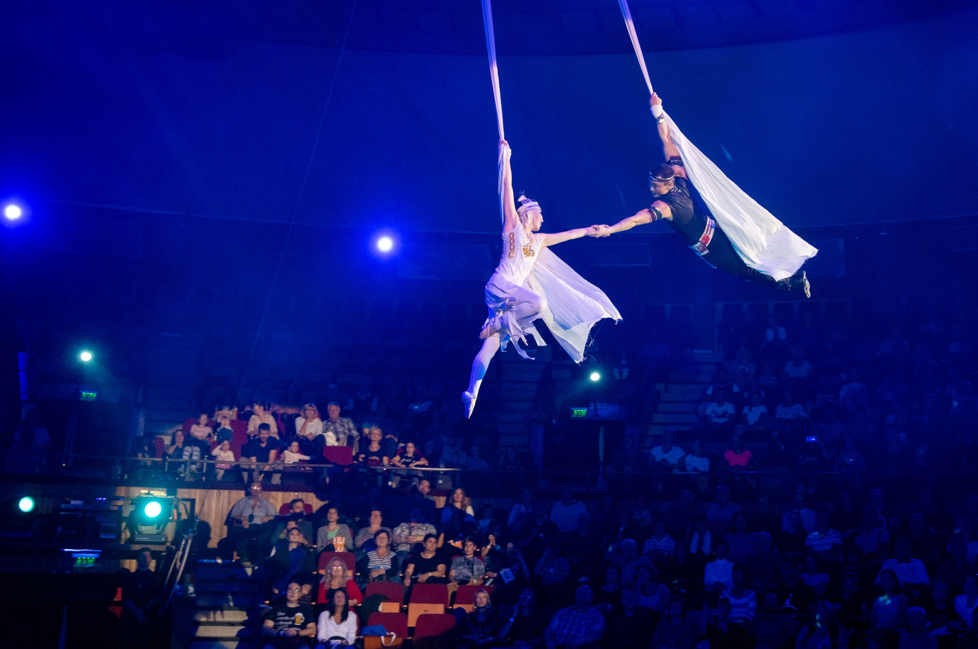 Dalverseny a Fővárosi Nagycirkuszban