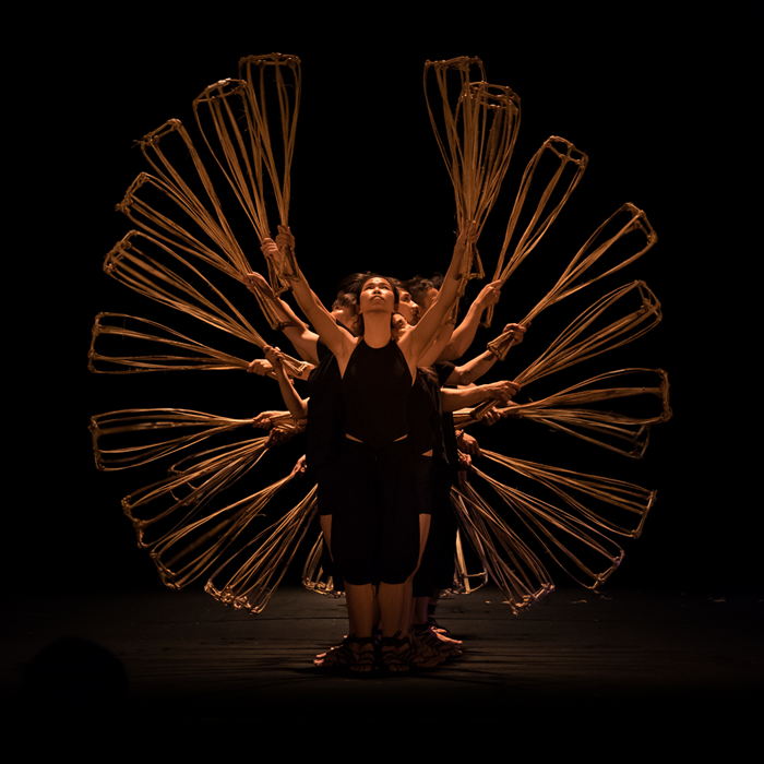 0002109_vietnamese-bamboo-circus_700